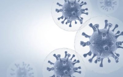 Commission "Virus Disinfection" issues statement on the new coronavirus SARS-CoV-2
