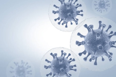 Kommission „Virusdesinfektion“ gibt Stellungnahme zum neuen Coronavirus SARS-CoV-2 heraus