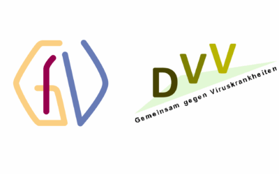 Gemeinsame Mitteilung der GfV und der DVV zum Nachweis eines Poliowildvirus Typ 1 in einer Abwasserprobe in Hamburg